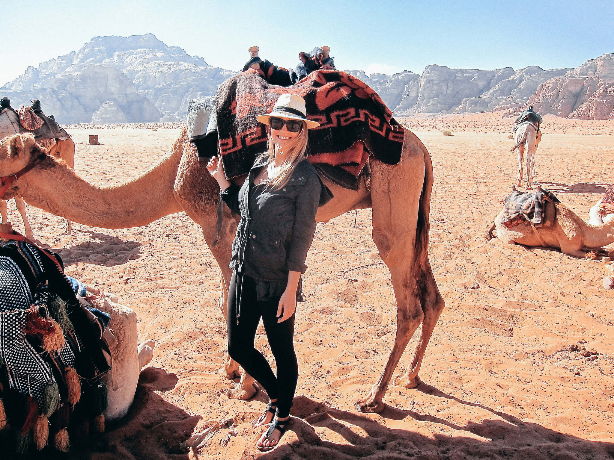 Traveling through Jordan on camel