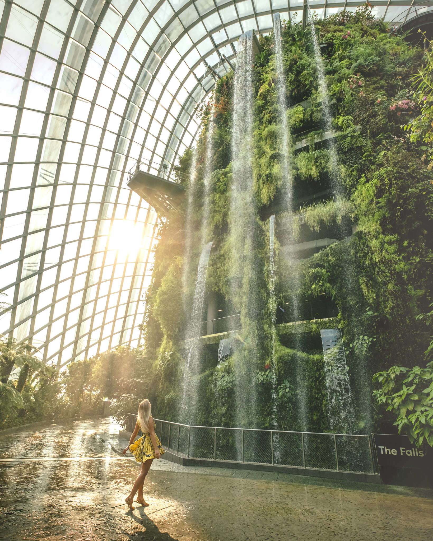 Gardens By the Bay, à Singapour