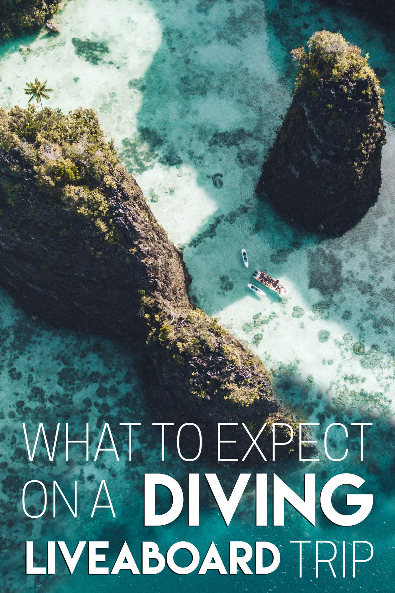 What to Expect on a Diving LiveAboard Trip