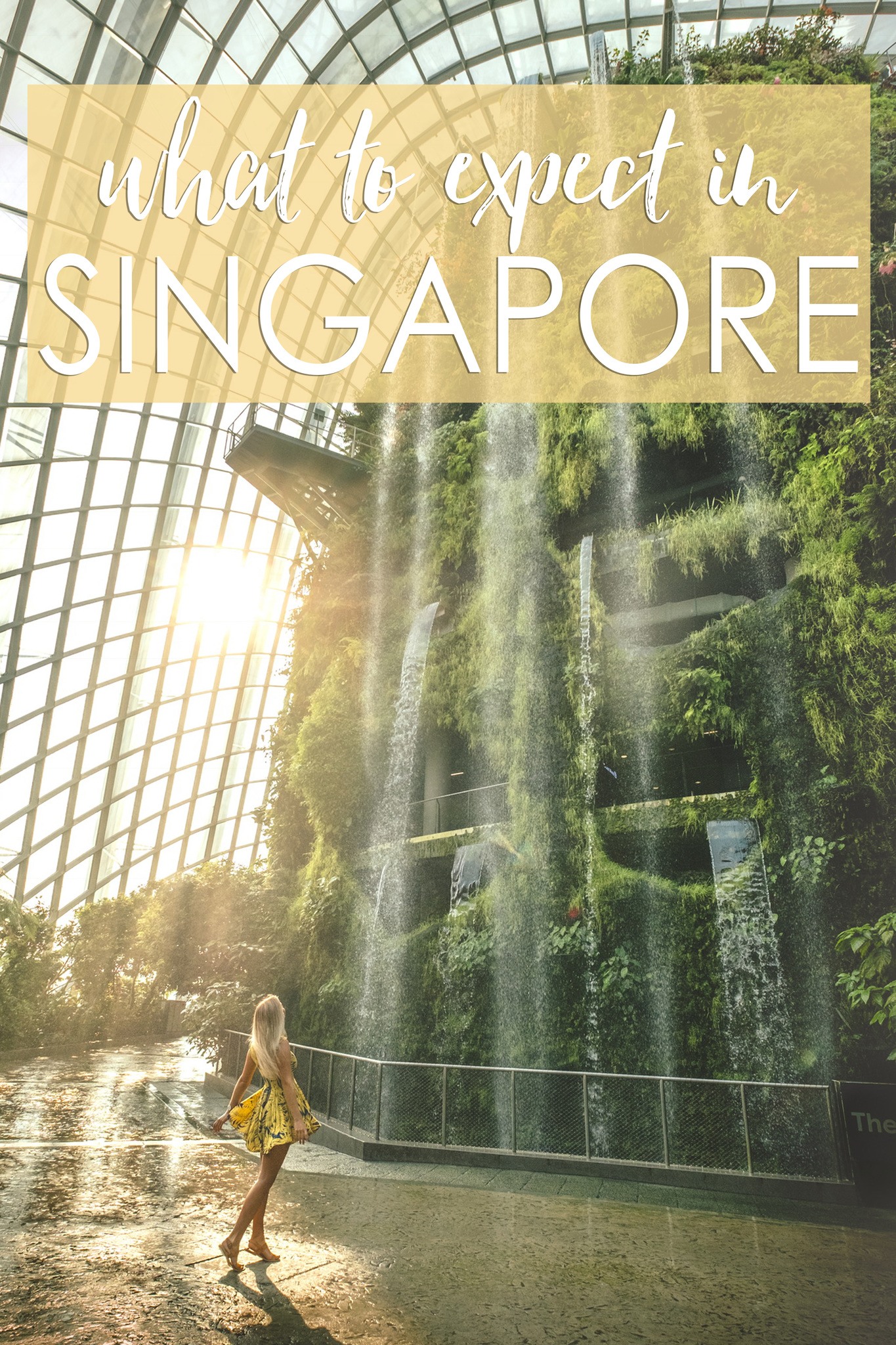 What to Expect in Singapore