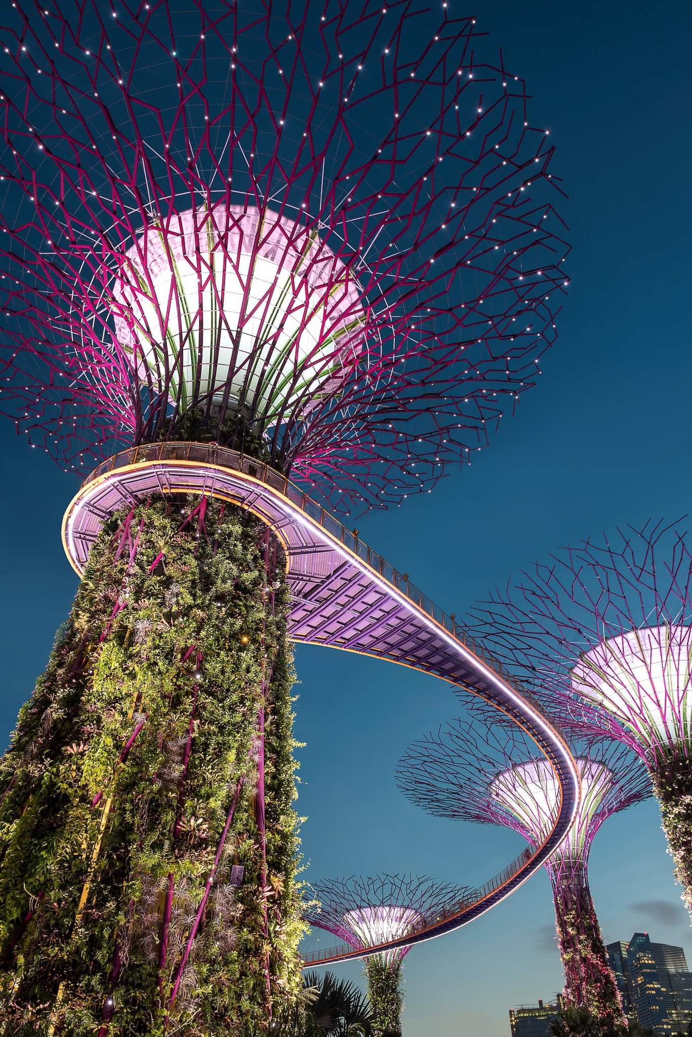 Gardens By the Bay at Night