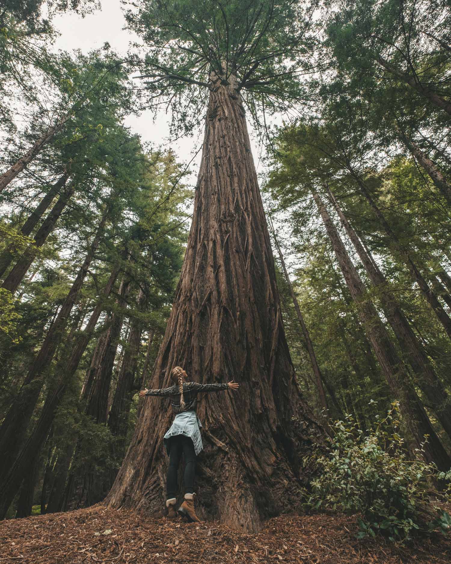 Hiking in Big Sur