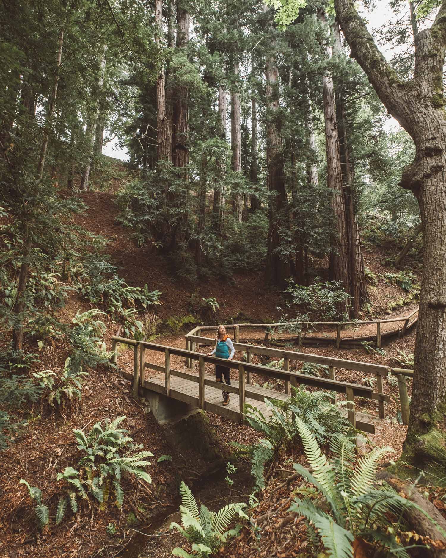 Hiking through Ventana Big Sur