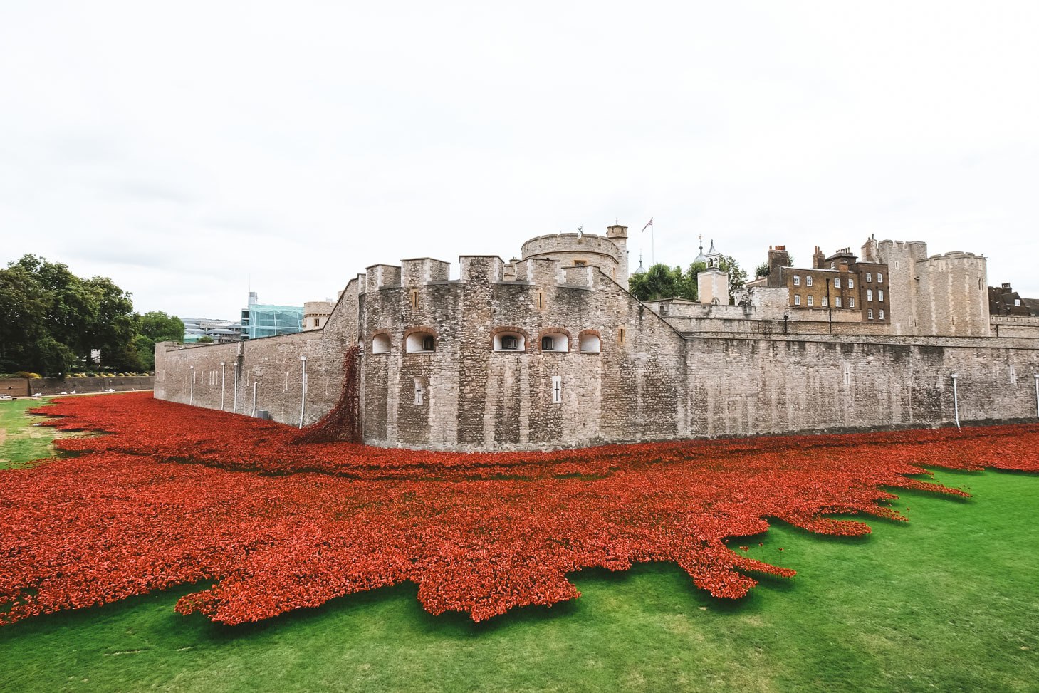 Tower of London with Red Flowers