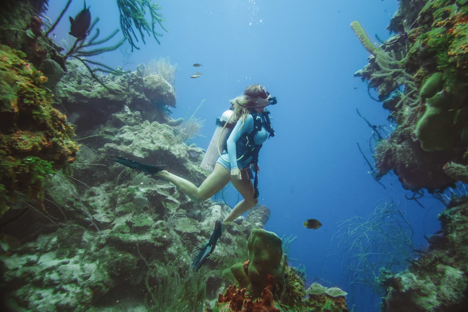 Diving Blue Hole in Belize