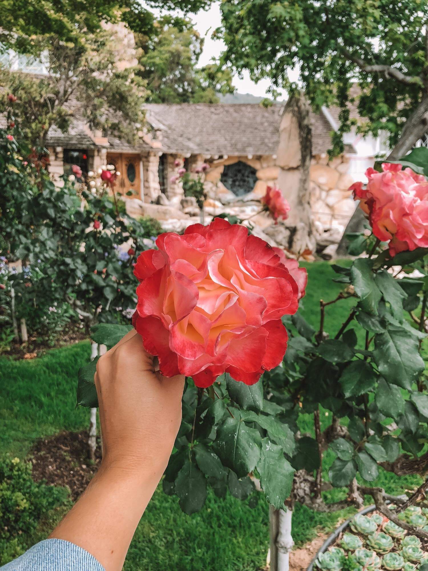 Madonna Inn Property