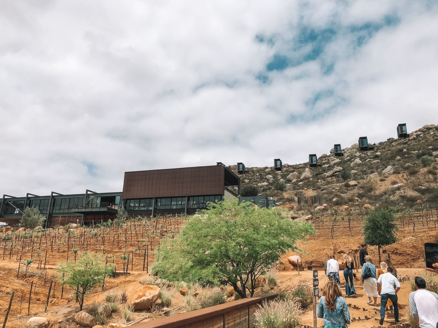 Winery in Valle de Guadalupe