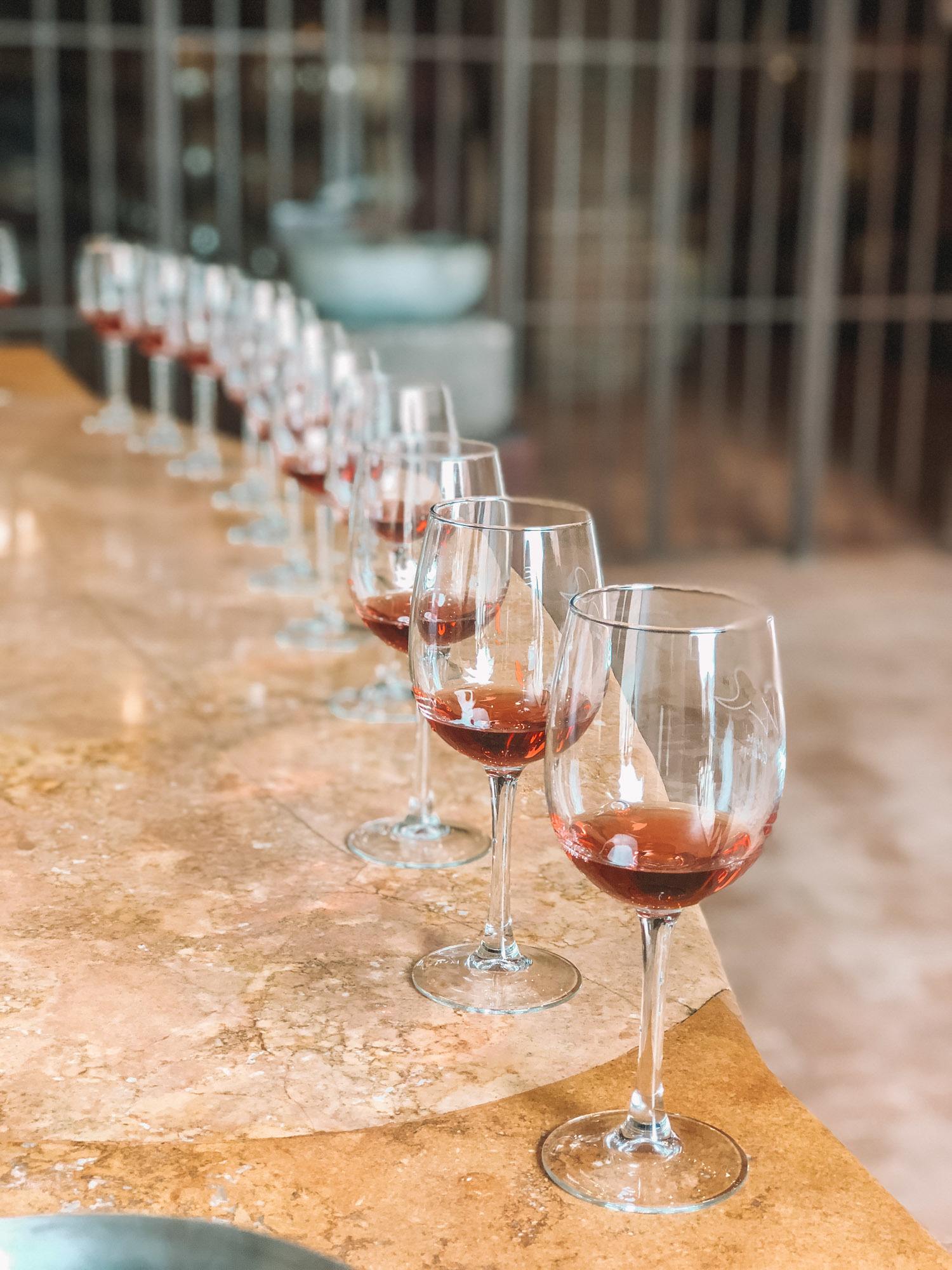 Wines in Valle de Guadalupe