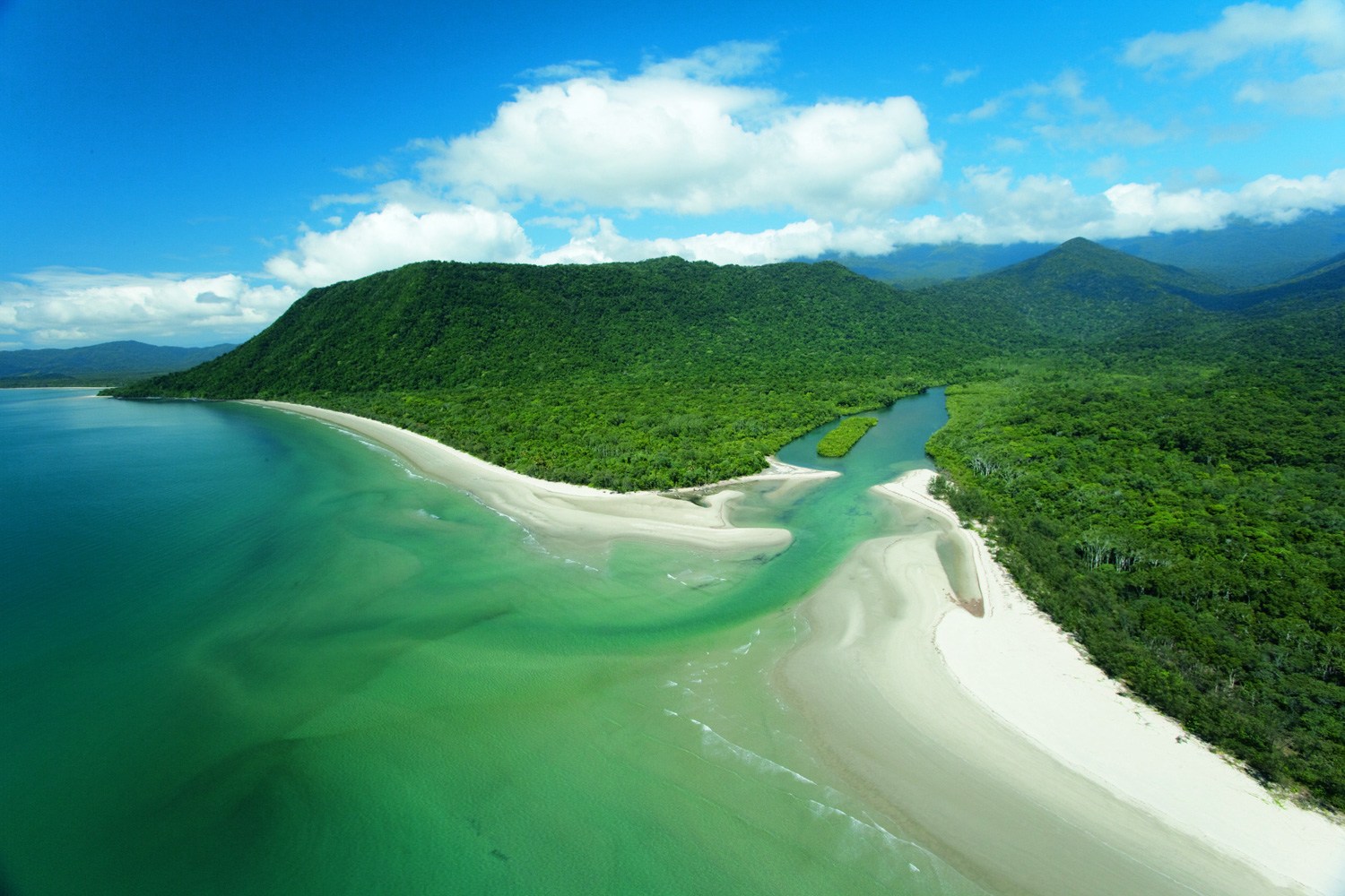 Daintree Rainforest