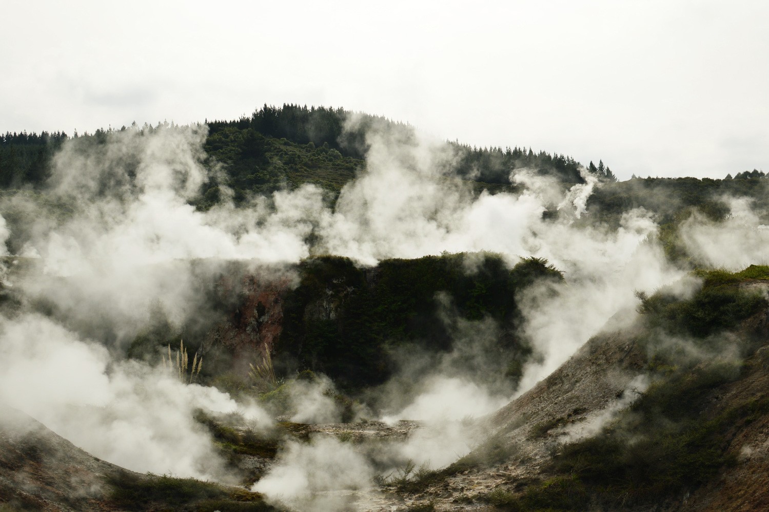 Taupo