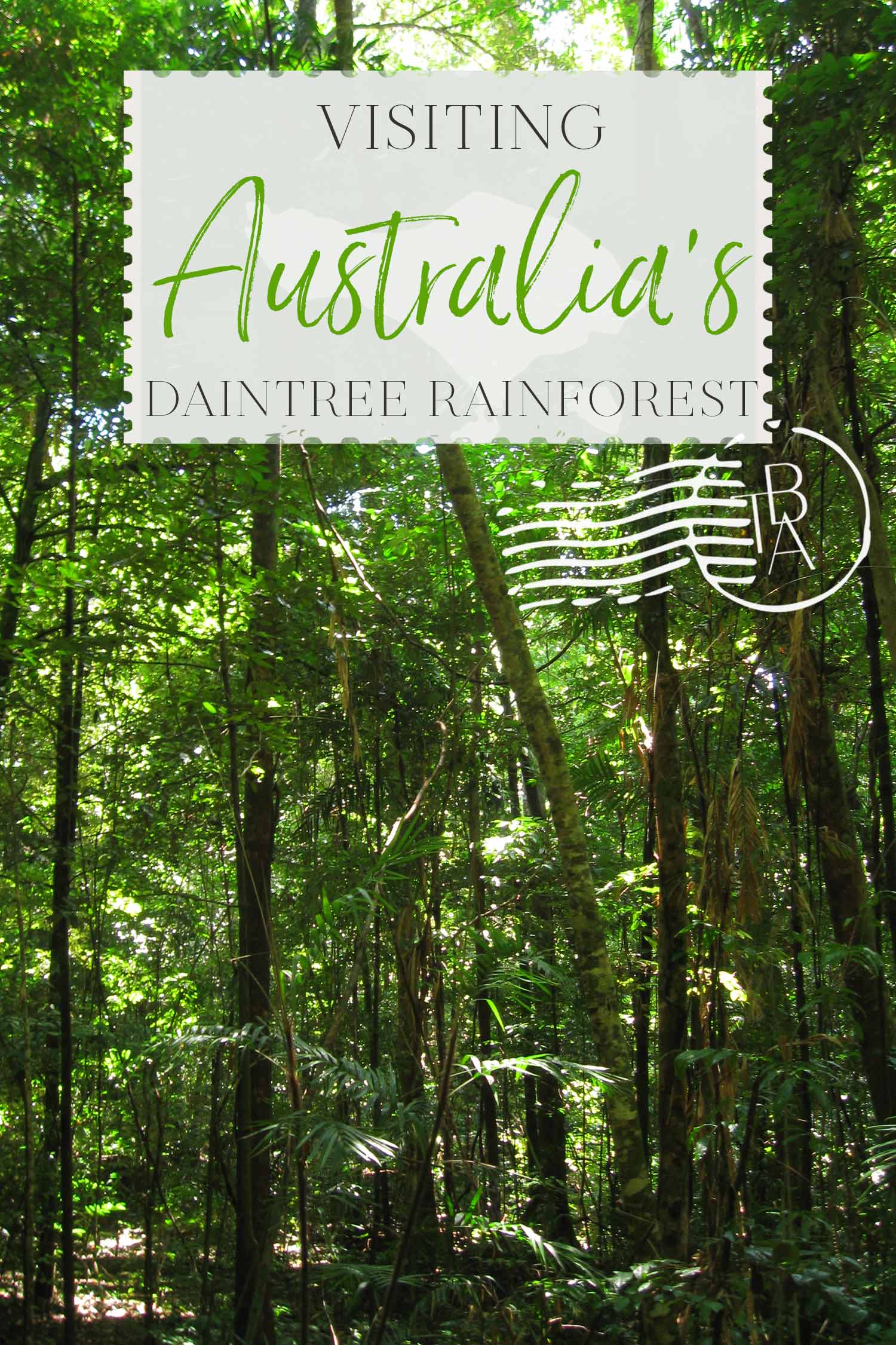 Visiting Australia's Daintree Rainforest