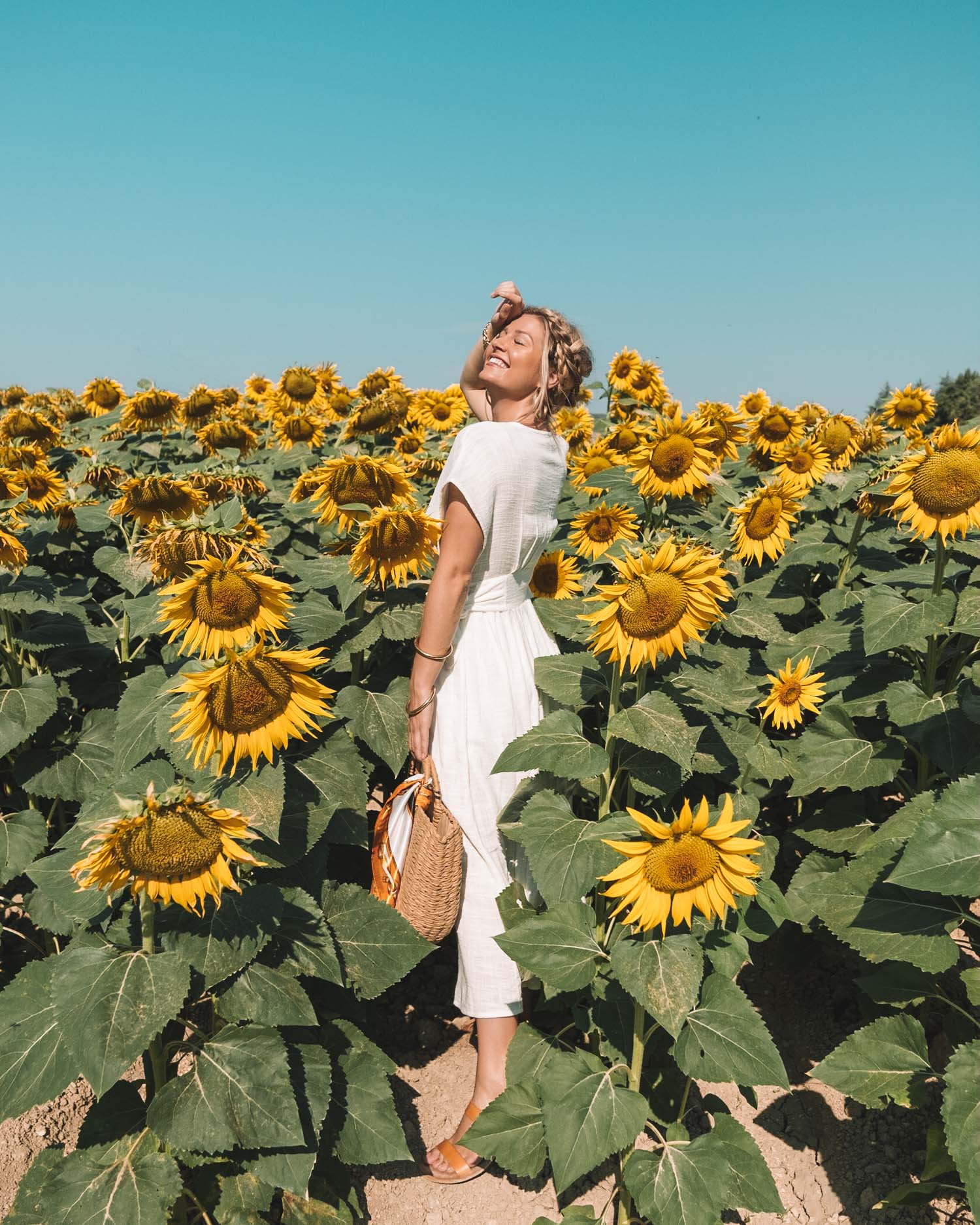 Where To Find Sunflower Lavender Fields In Provence The Blonde Abroad