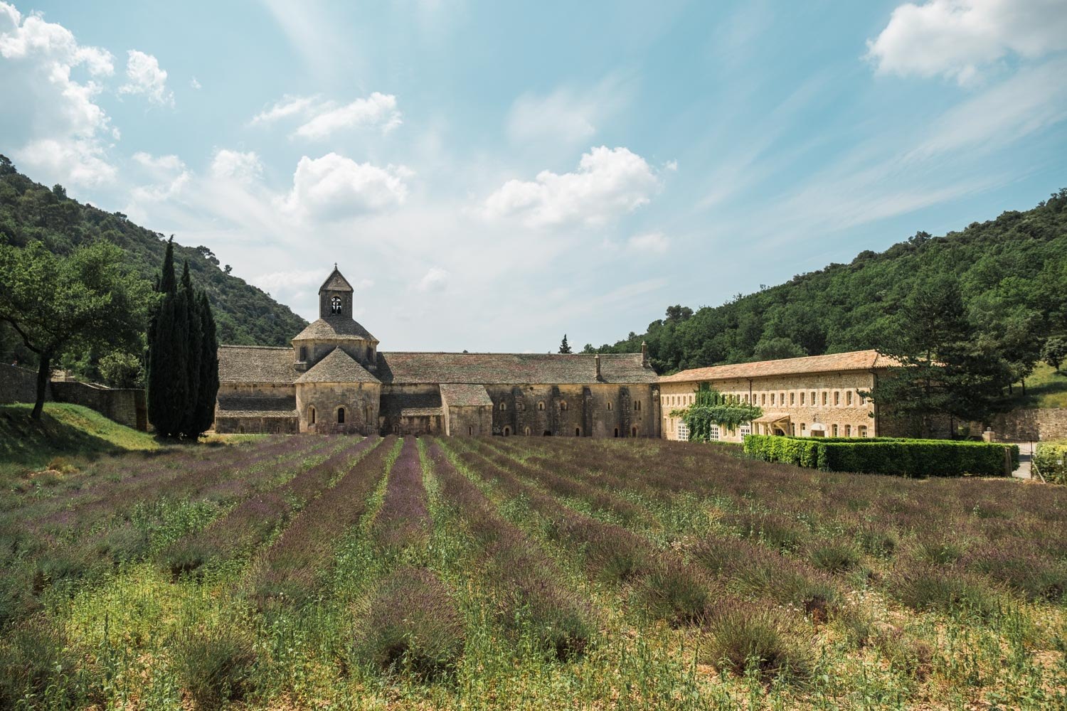 Senanque Abbey