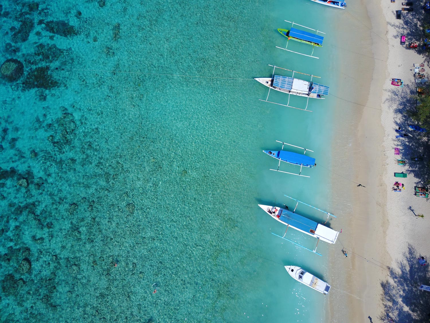 Diving in Gili T