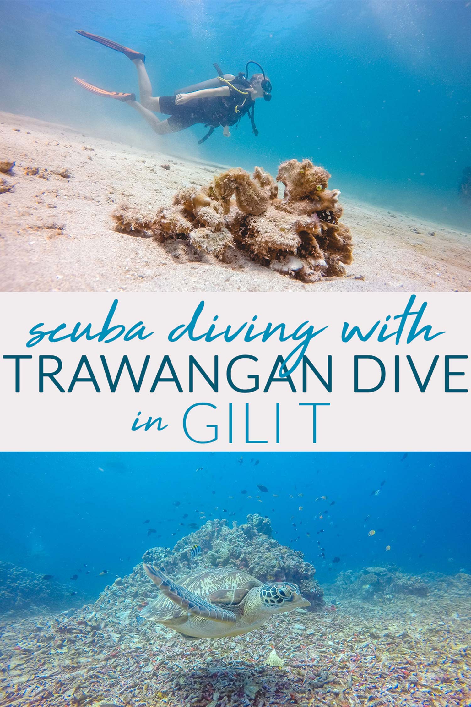 Scuba Diving with Tranwangan Dive in Gili T