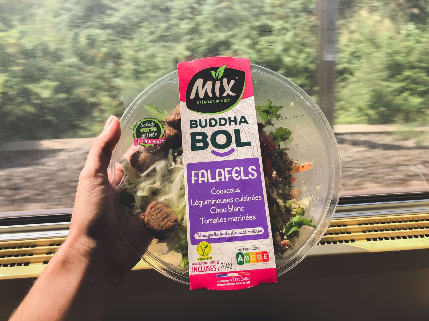 Salad on Train in France