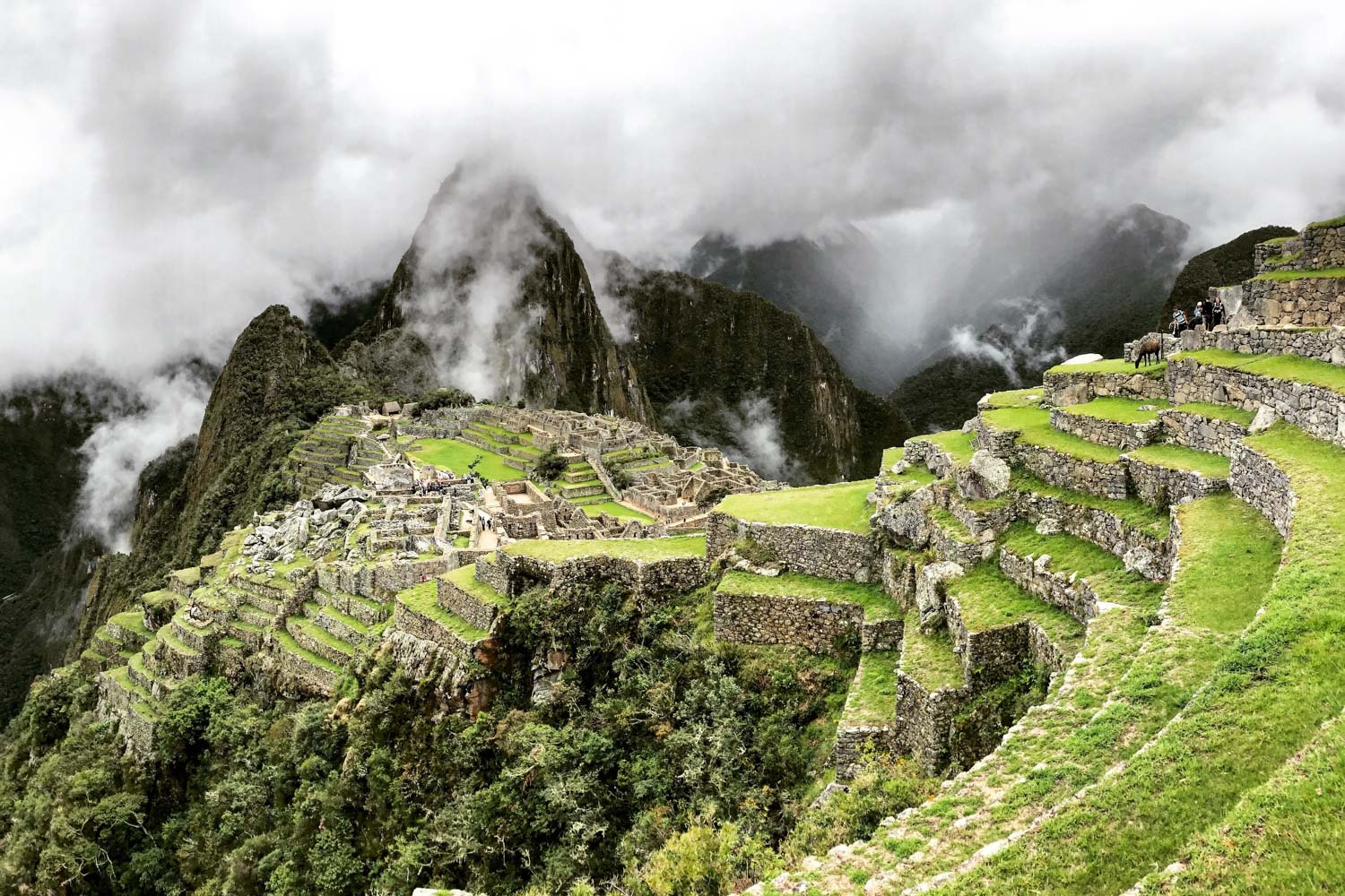 Machu Picchu