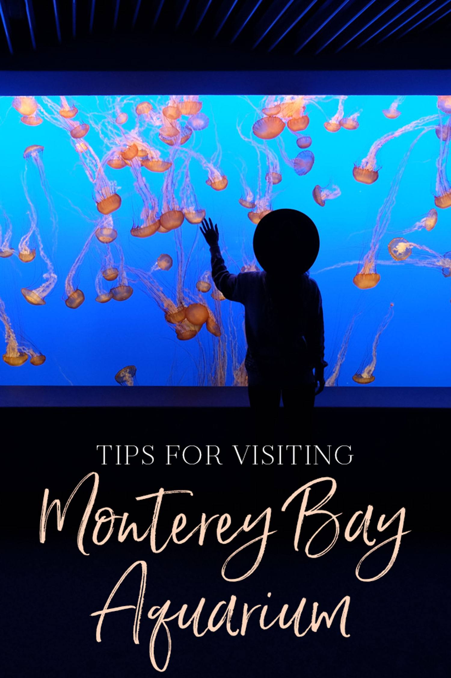 Tips For Visiting Monterey Bay Aquarium The Blonde Abroad