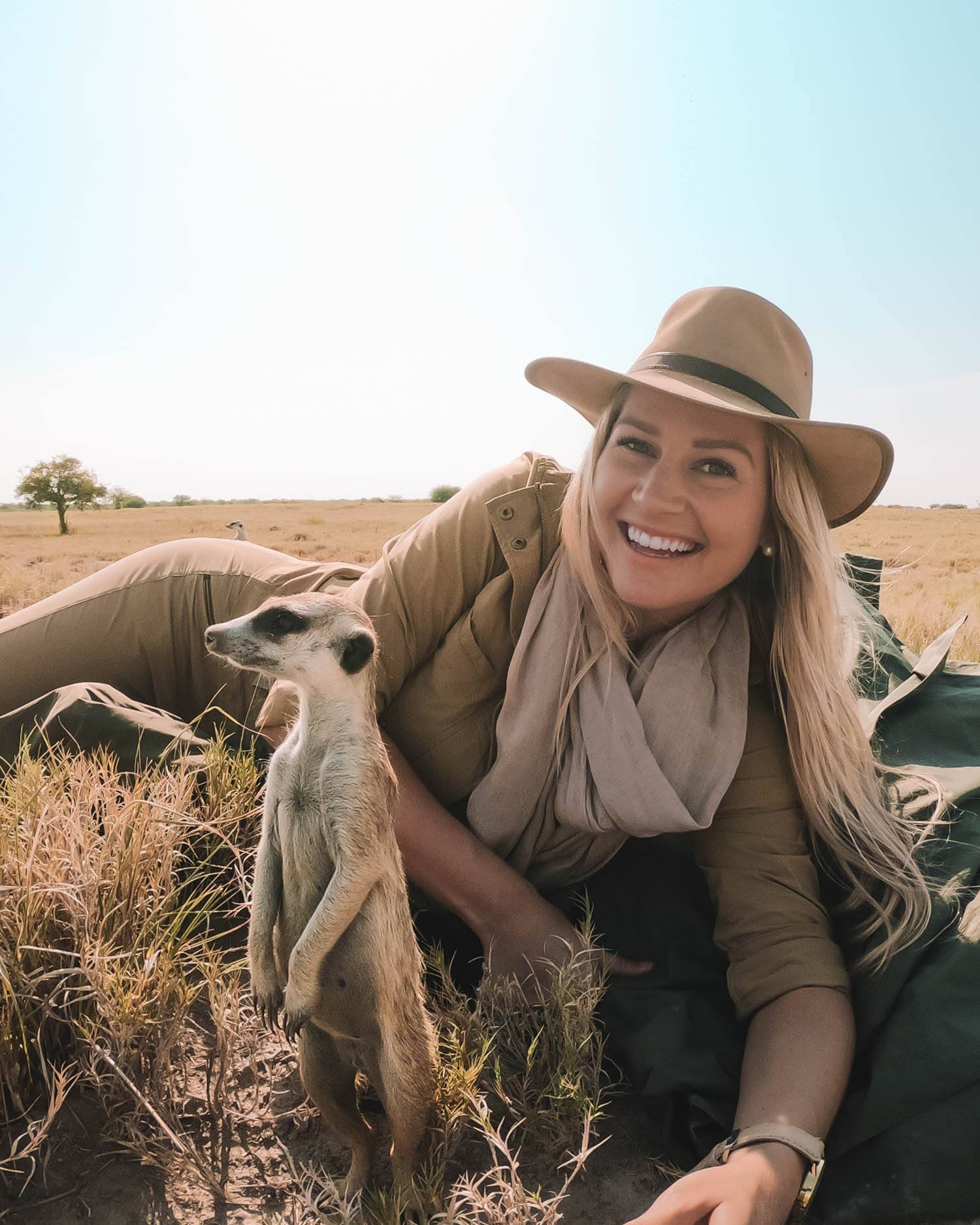 Meerkat in Botswana