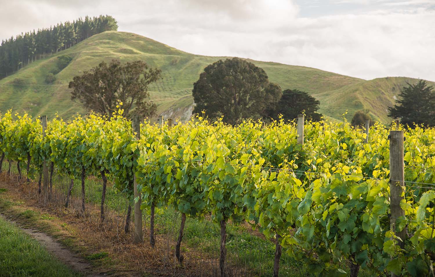 Hawkes Bay New Zealand