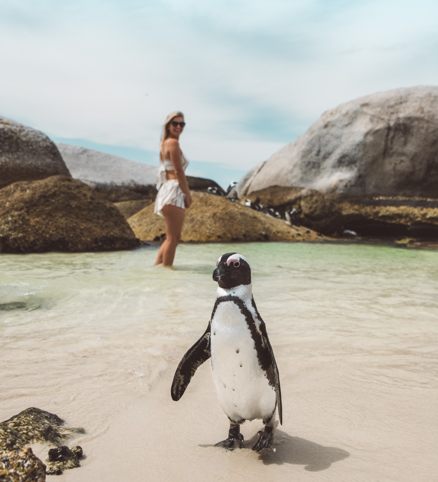 penguin and girl at boulders beach