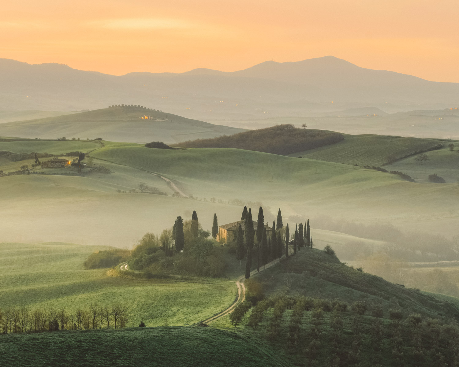 wine farm in tuscany