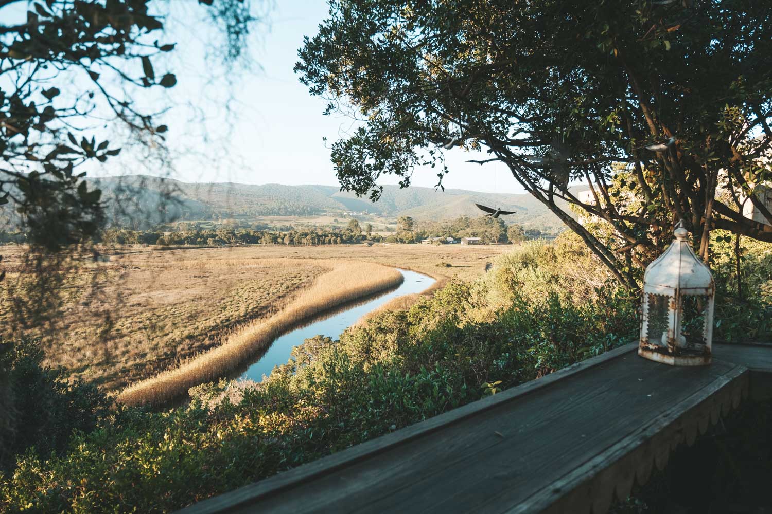 emily moon river lodge in south africa