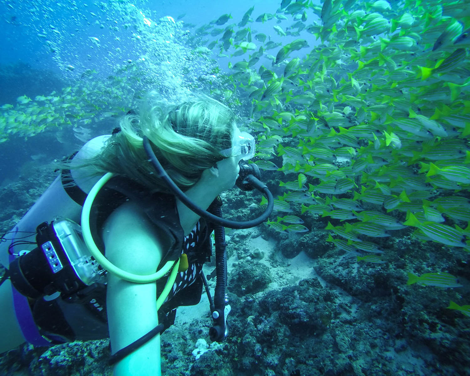 blonde diving in the maldives