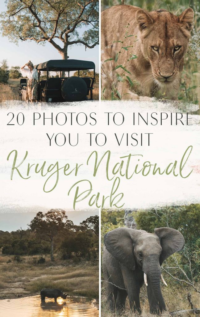 best time to visit kruger