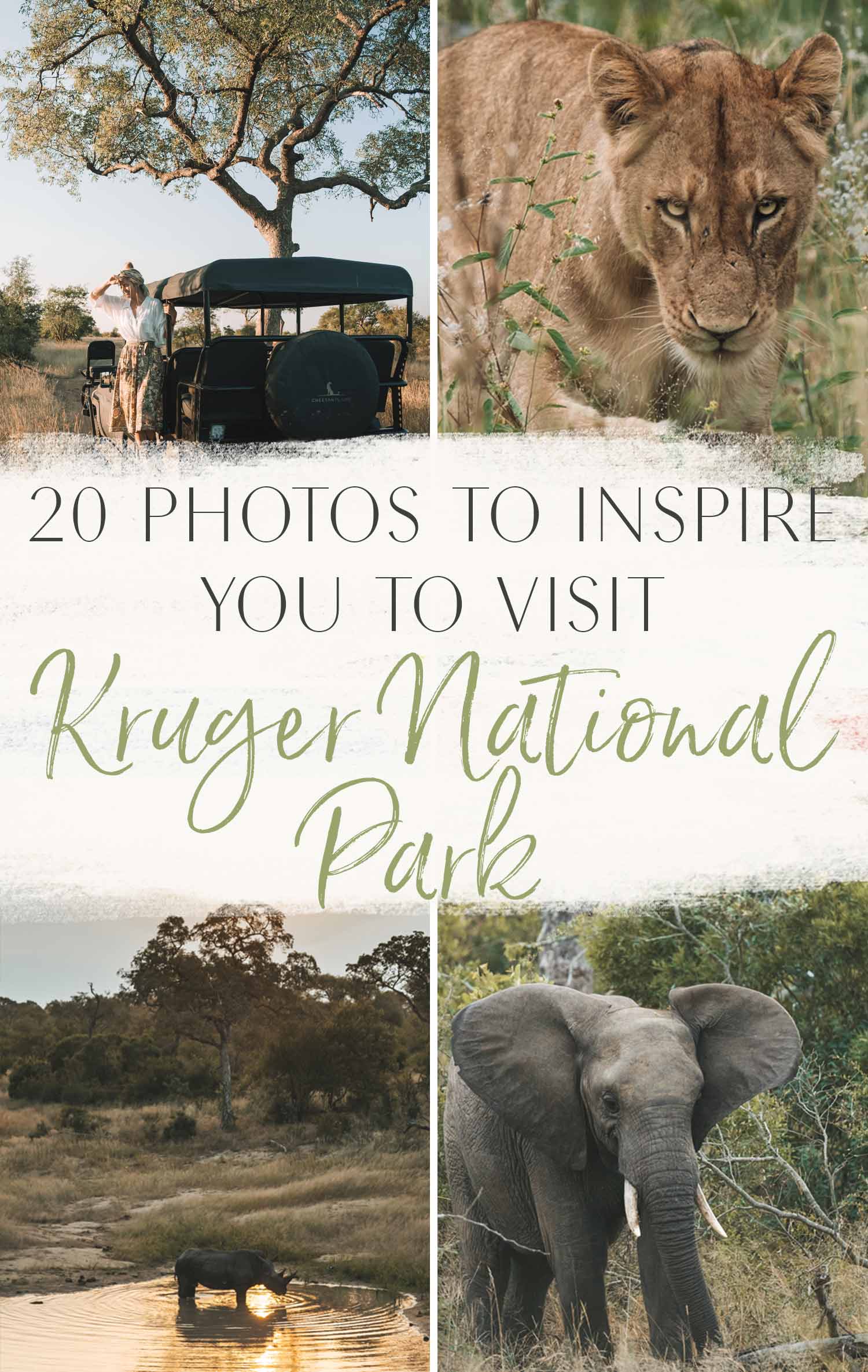 Kruger national park