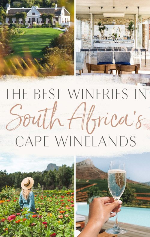 The Best Wineries in South Africa's Cape Winelands • The Blonde Abroad