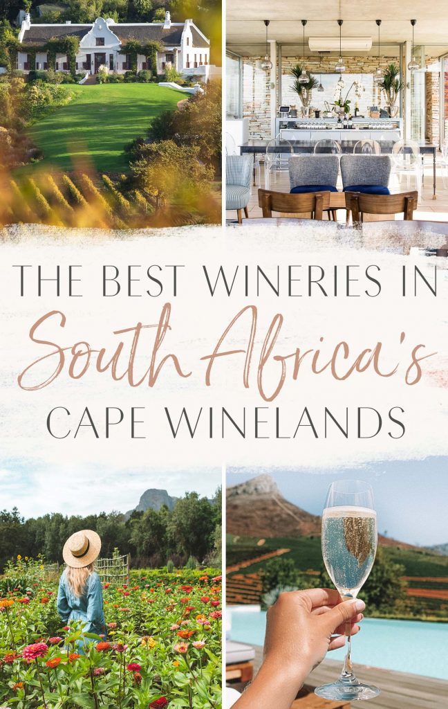 The Best Wineries In South Africas Cape Winelands • The Blonde Abroad 3347