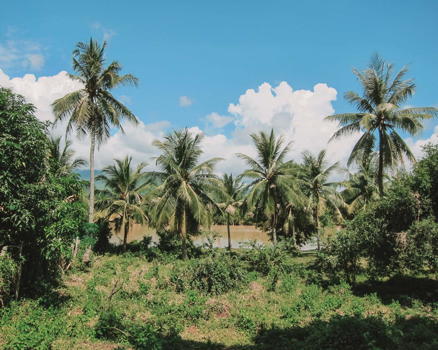 cambodia