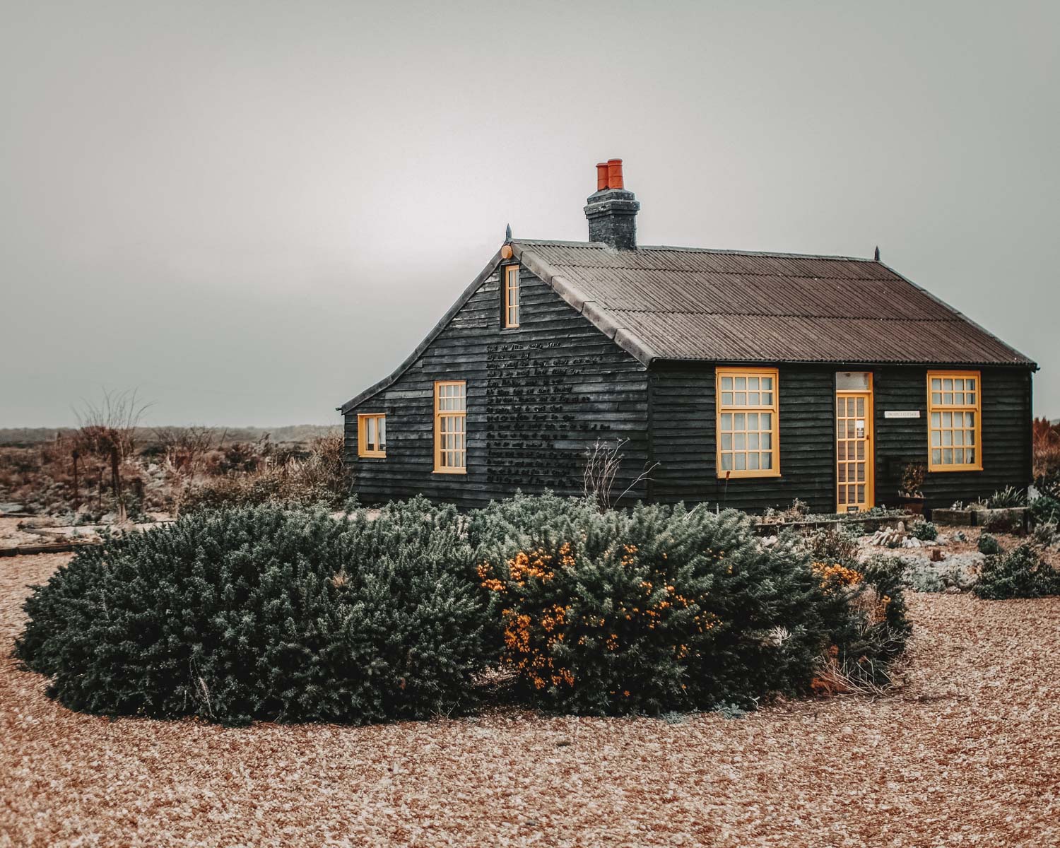 Dungeness