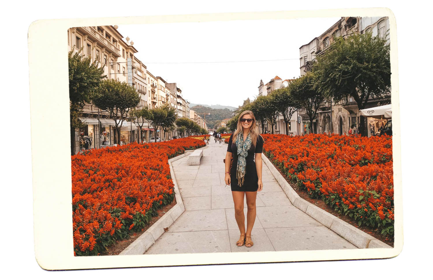 flowers kiersten portugal