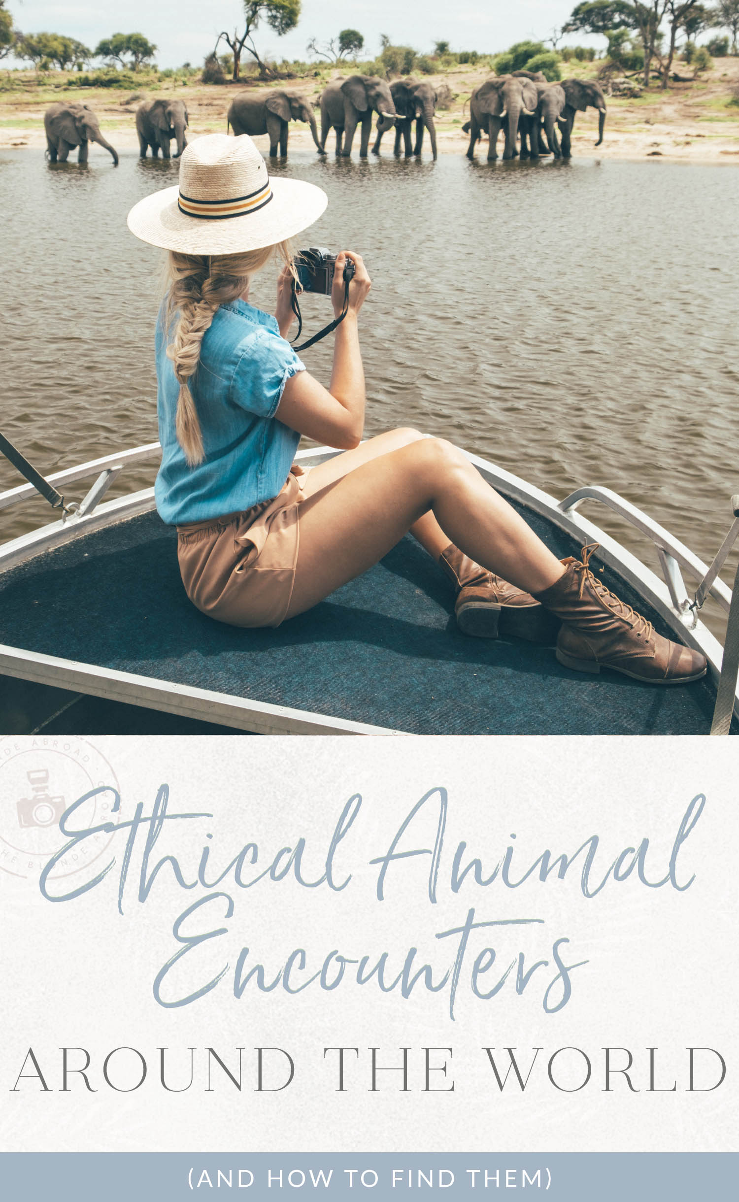 1ethical animal encounters around the world