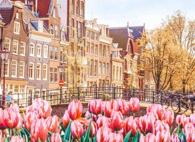The Ultimate Netherlands Travel Guide • The Blonde Abroad