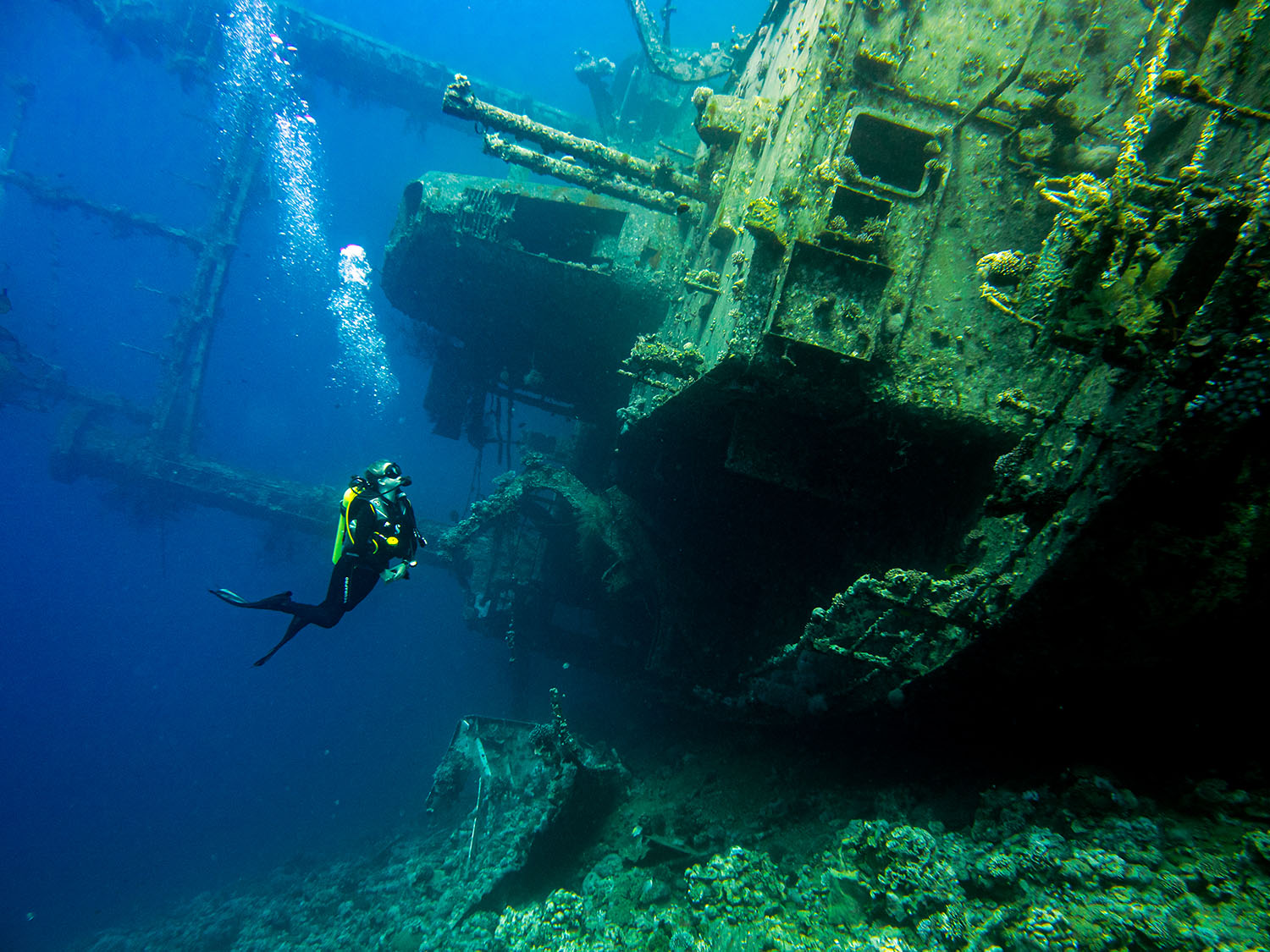 Diving Red Sea in Aqaba with Deep Blue Dive Center • Blonde Abroad
