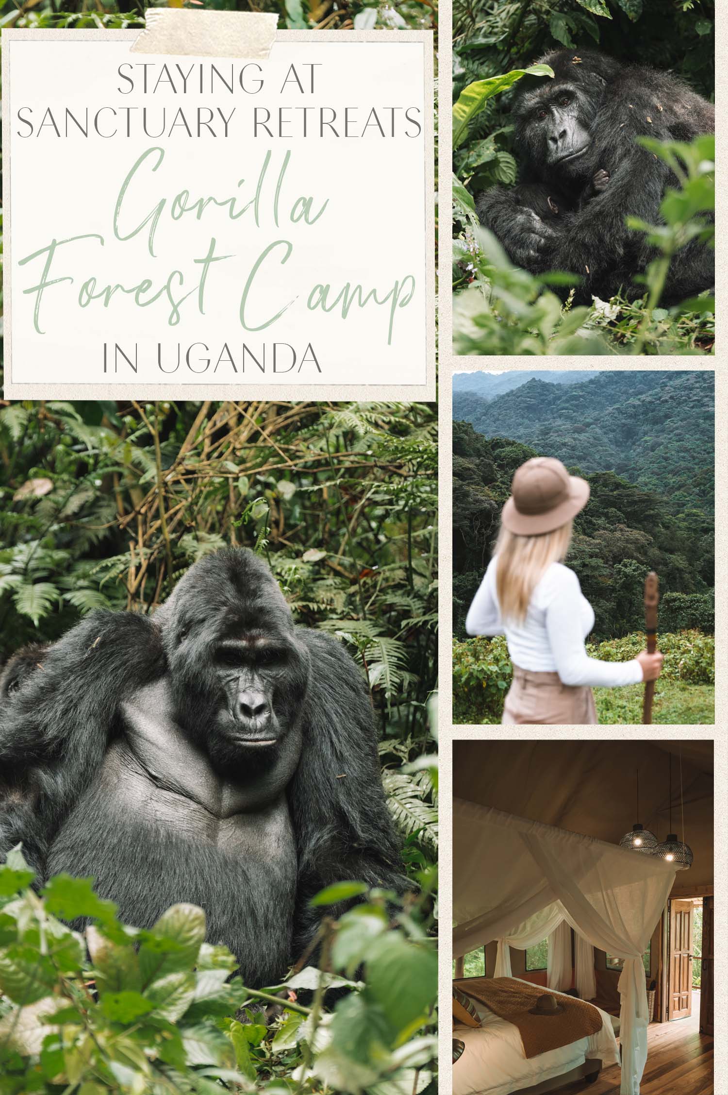 Sanctuary Retreats Gorilla Forest Camp 
