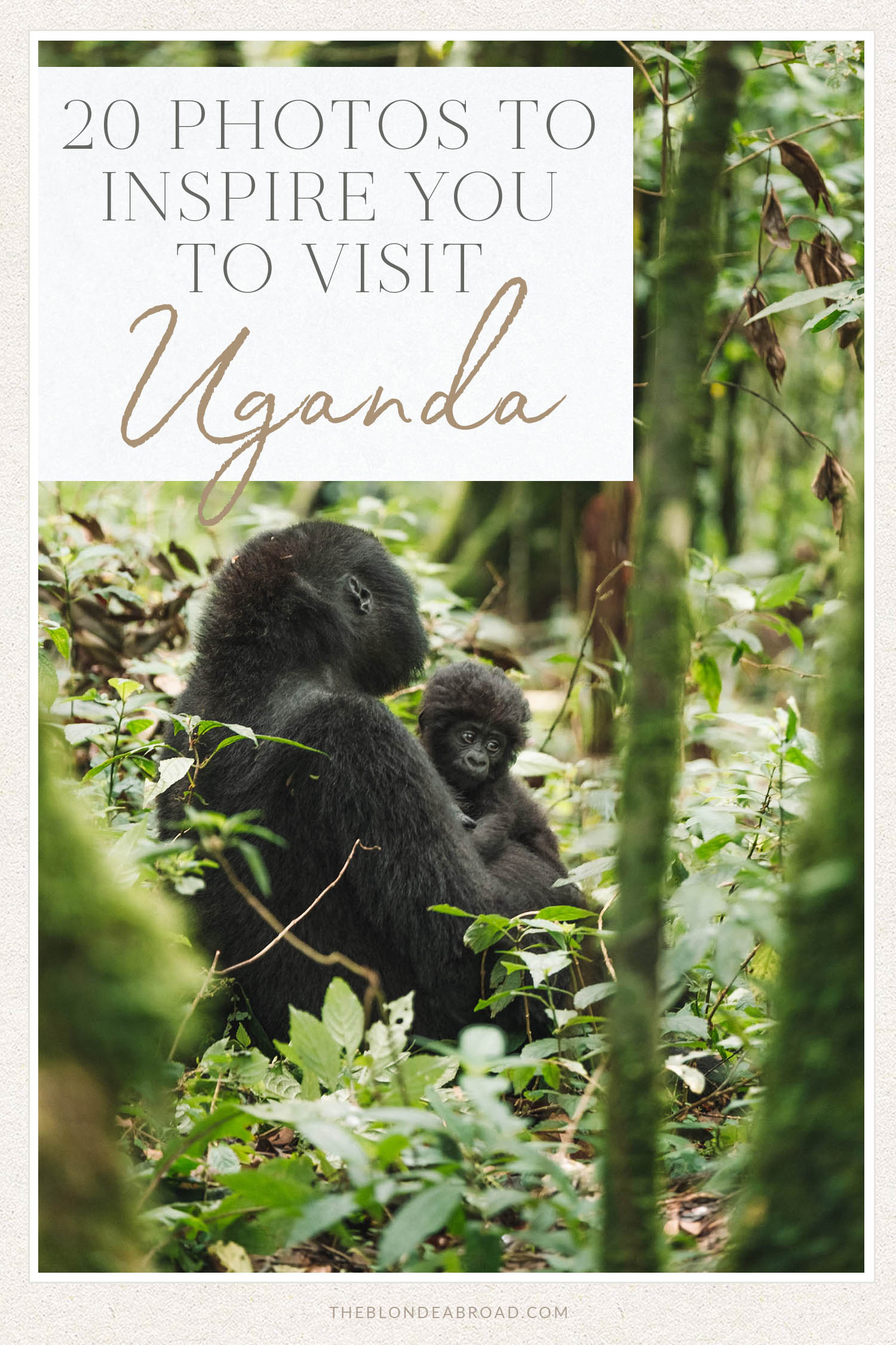 20 Photos to Inspire You to Visit Uganda Gorillas