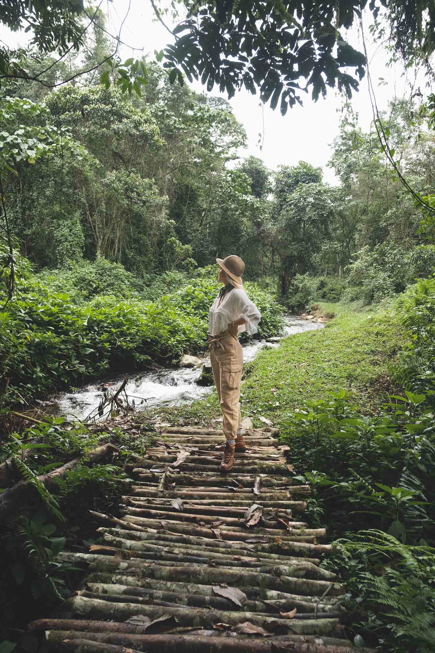 gorilla trekking uganda