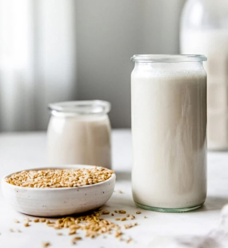 Milky Plant - Plant Milk Machine - Almond Milk, Oat Milk Etc