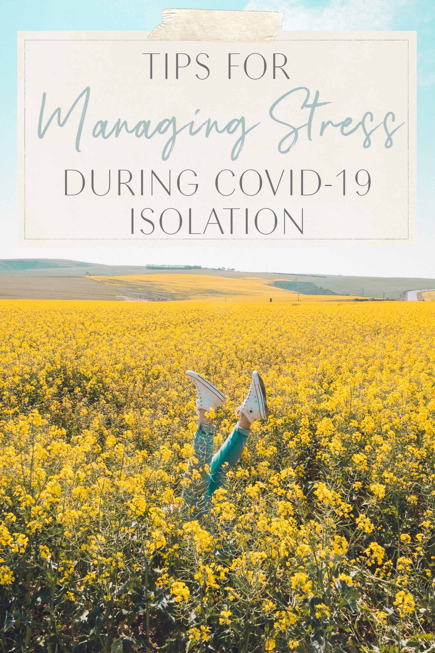 Yellow Flower Fields Stress Free Tips for Managing during Coronavirus Covid
