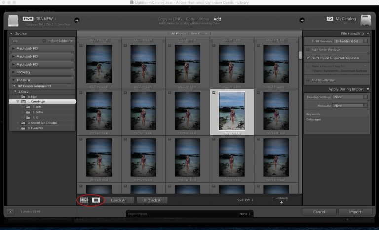 The Beginner’s Guide to Editing Photos in Lightroom • The Blonde Abroad