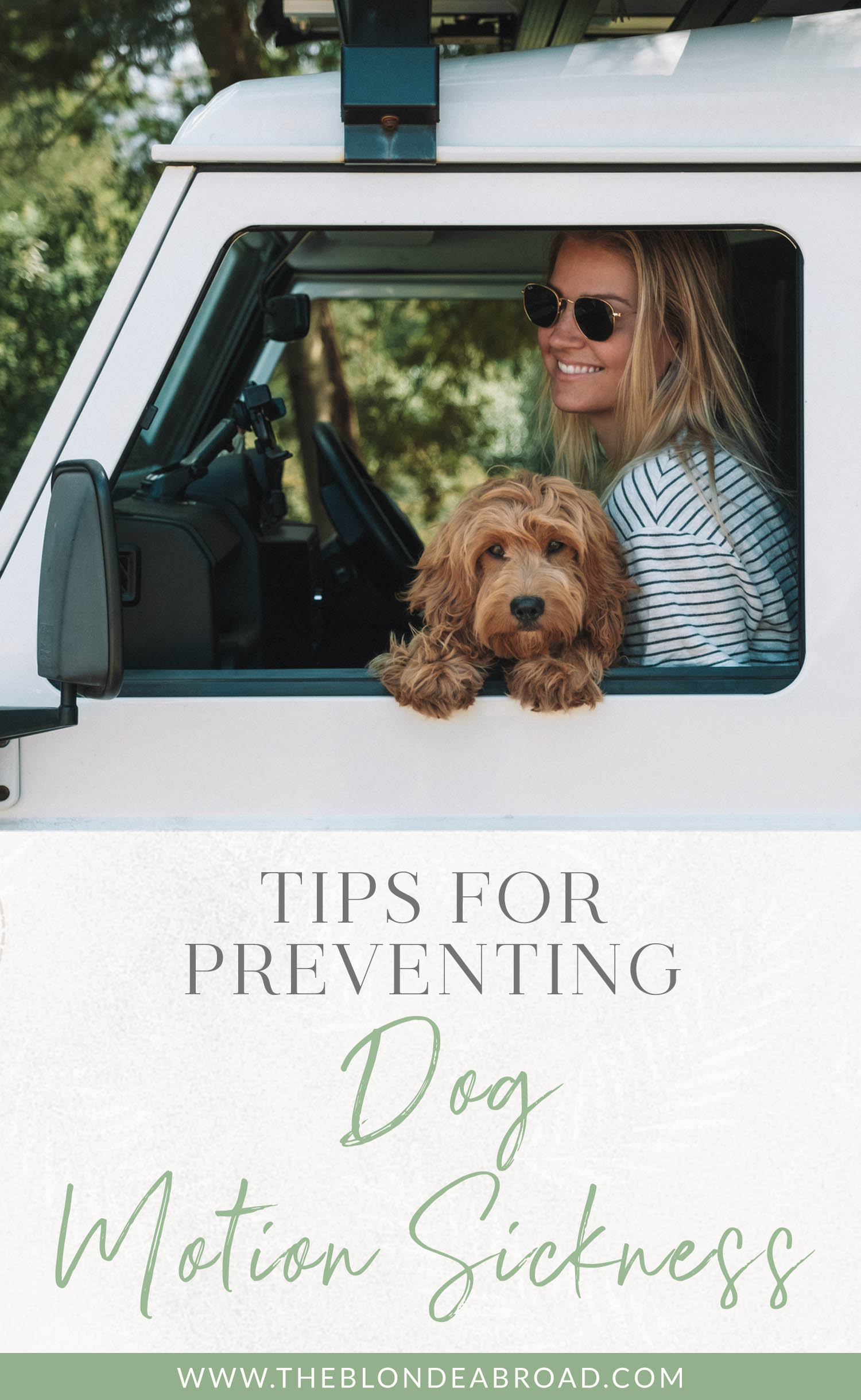 Tips for Preventing Dog Motion Sickness
