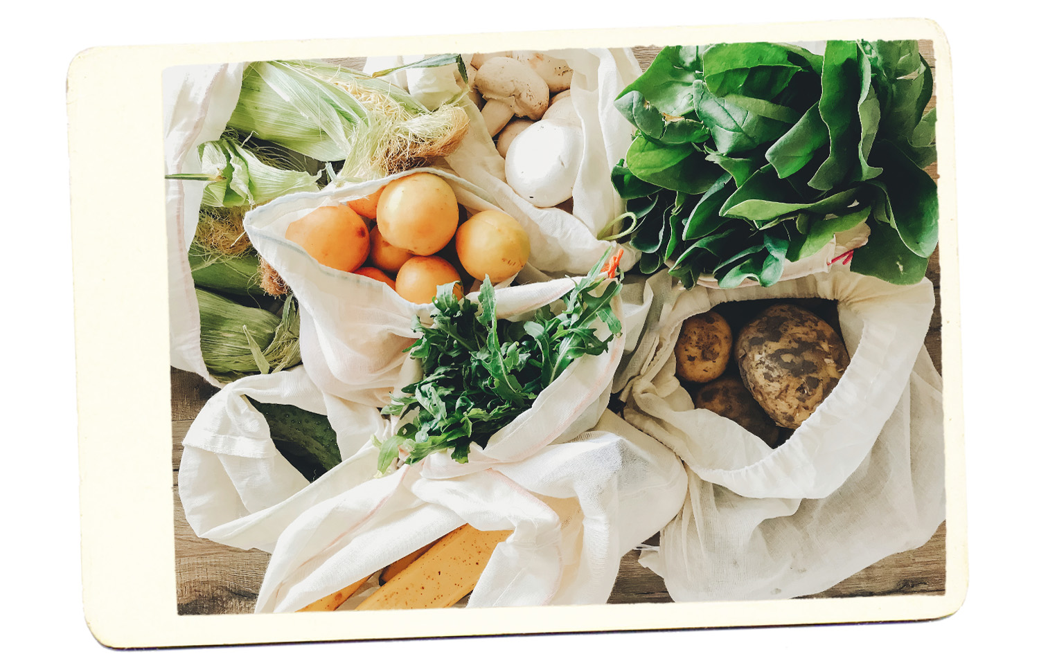 Farmers Market Fruit Vegetables Eco-Friendly Mesh Bags no plastic