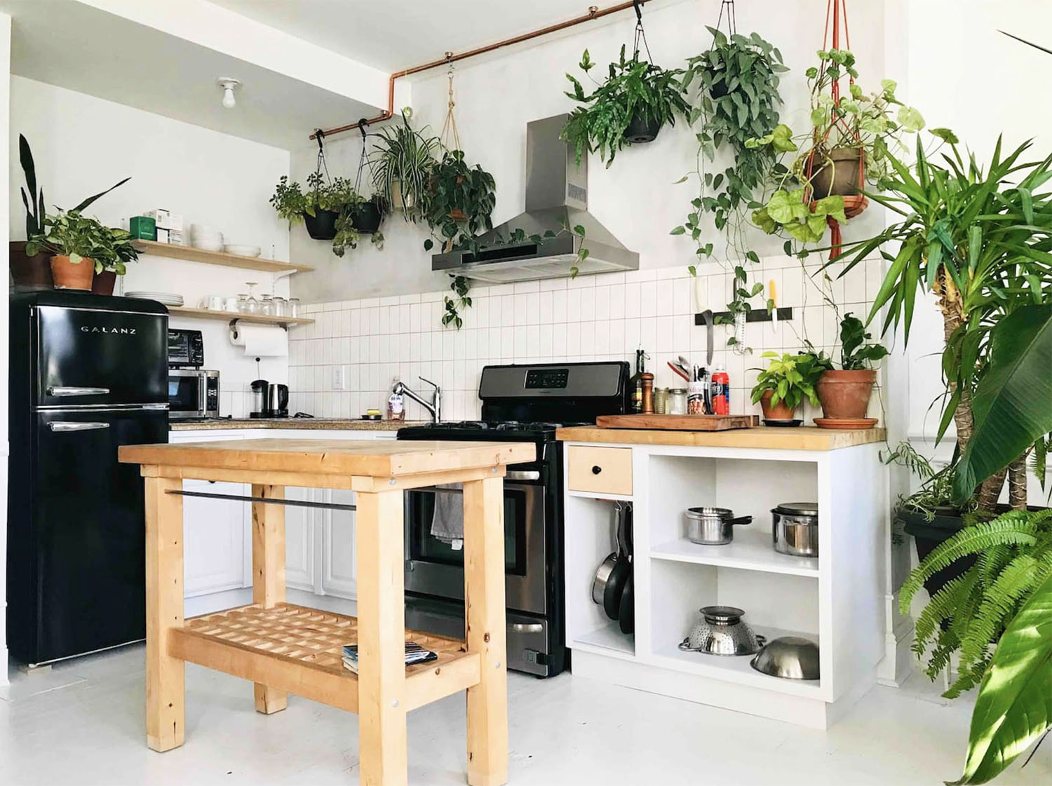 Botanical Plant-Filled Brooklyn Apartment