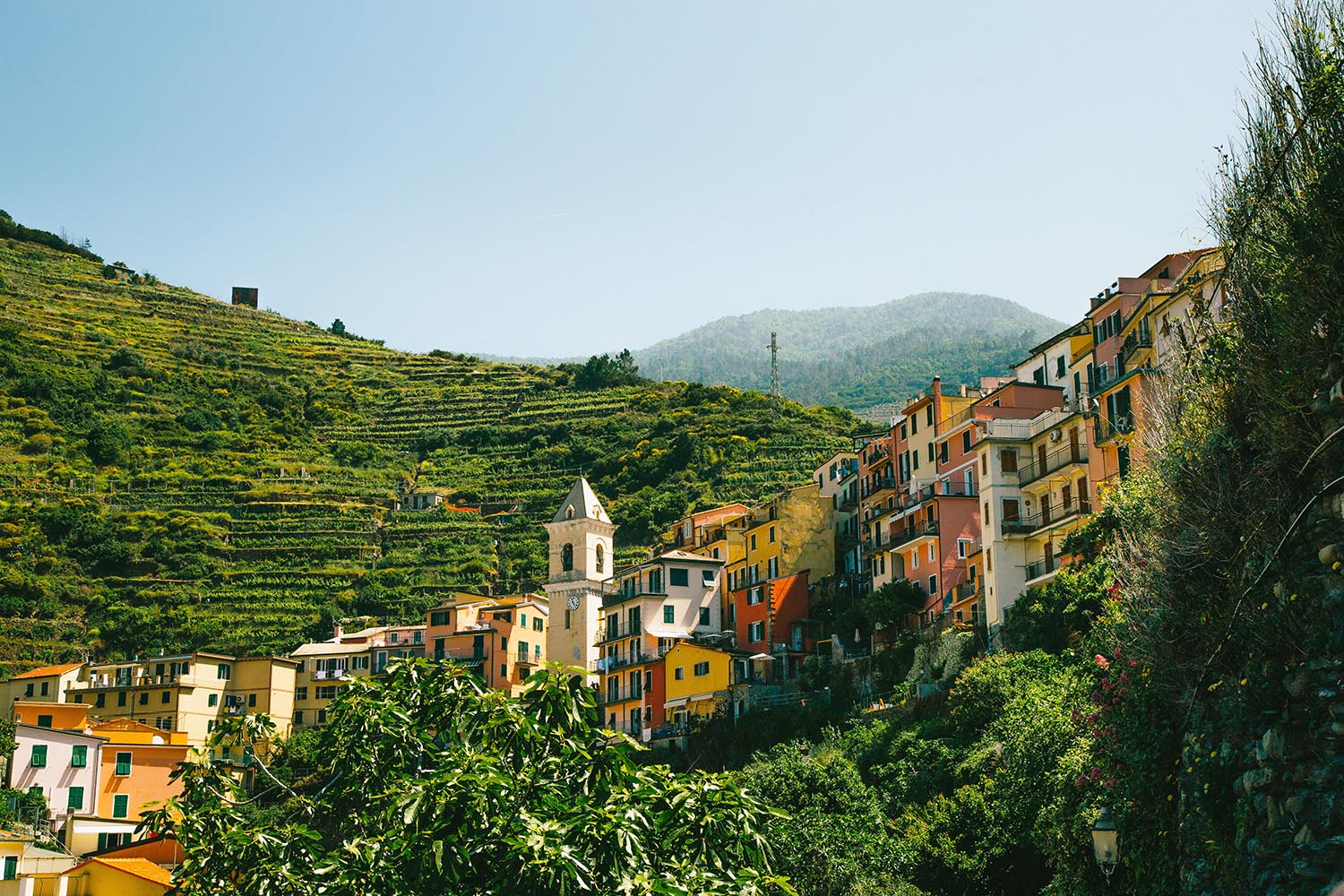 Cinque Terre Hillside Buildings