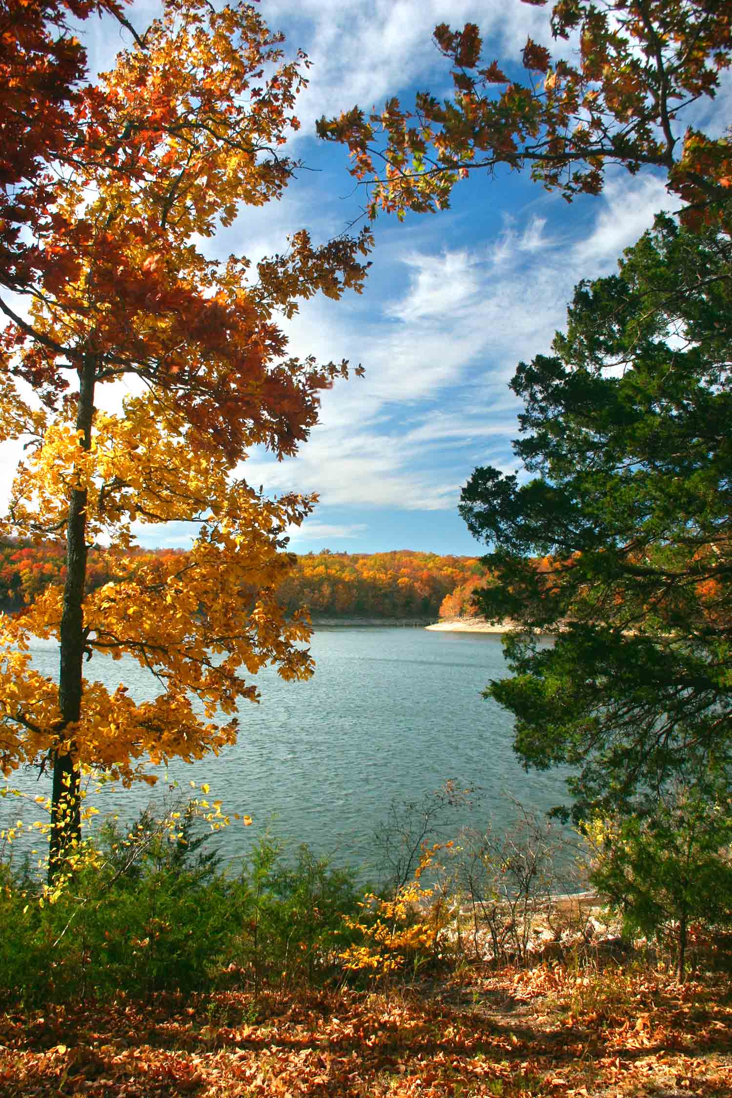 Lake Ozark Missouri Fall Autumn Leaves