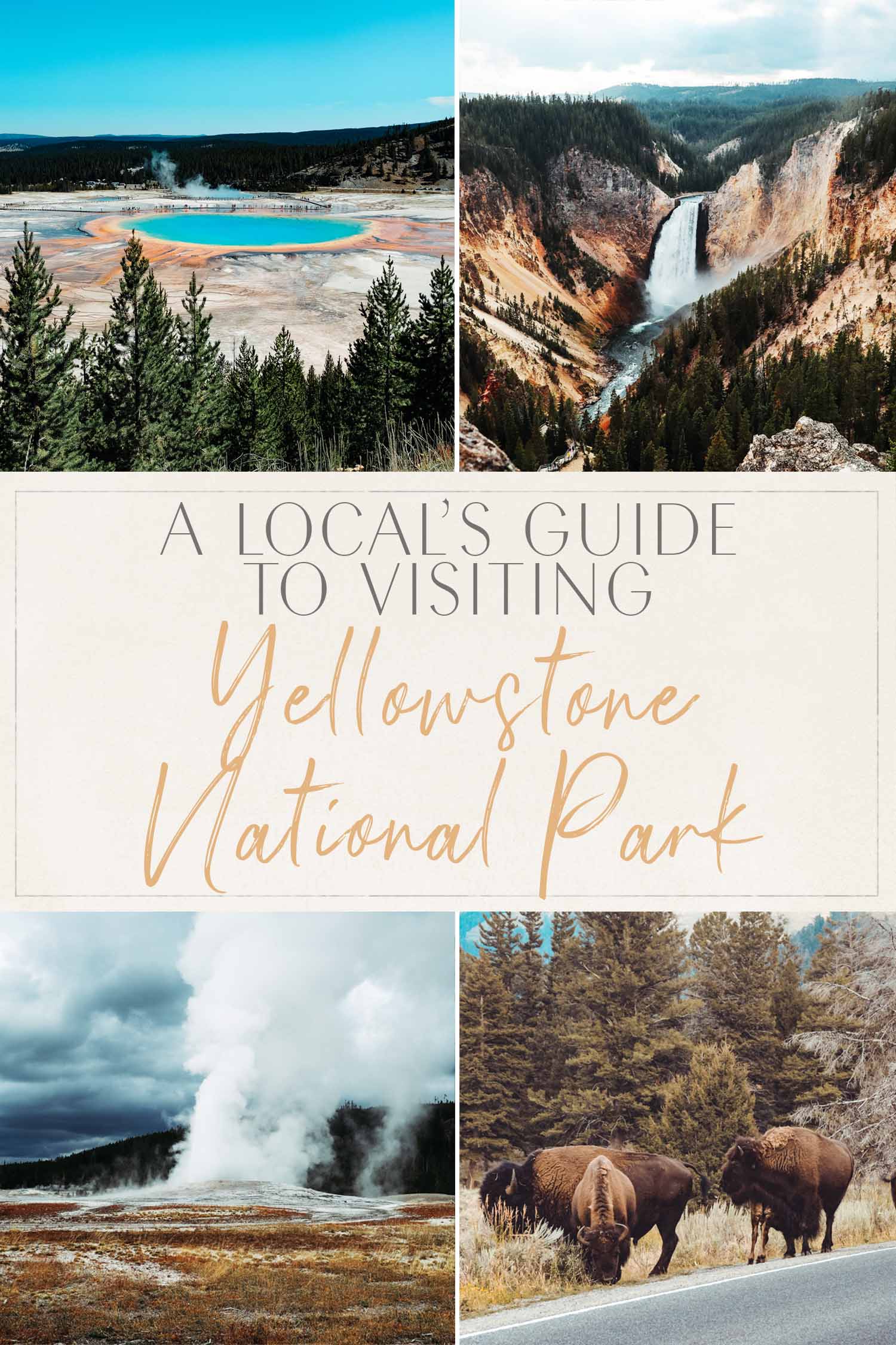 Local's Guide to Yellowstone National Park